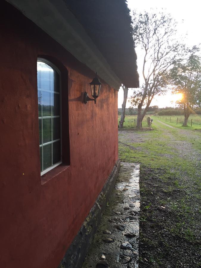 Bed and Breakfast Alsbrogaard Bramming Екстер'єр фото